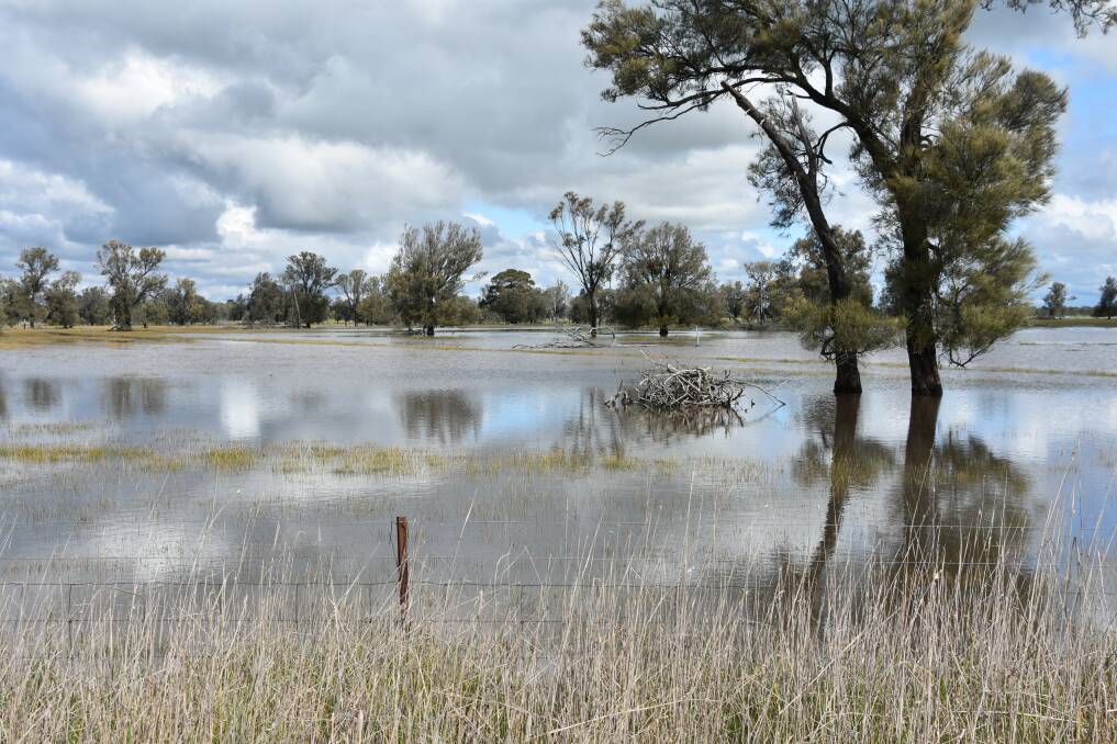 Flooding was widespread over eastern Australia due in part to the strong La Nina. Photo: Gregor Heard.