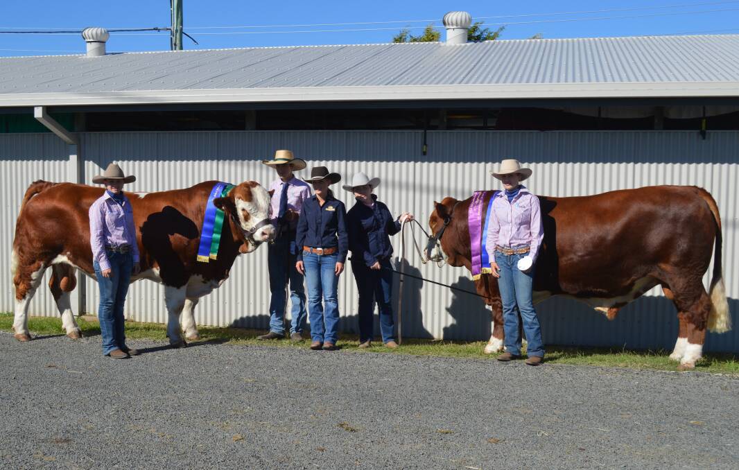 Show case: Tara Dumma (middle) with Sarina SHS students at the 2018 Mackay Show where Tennysonvale Michelin (Pp) won Reserve Junior Champion Bull and Tennysonvale Margarine (P) won Junior Champion Bull.