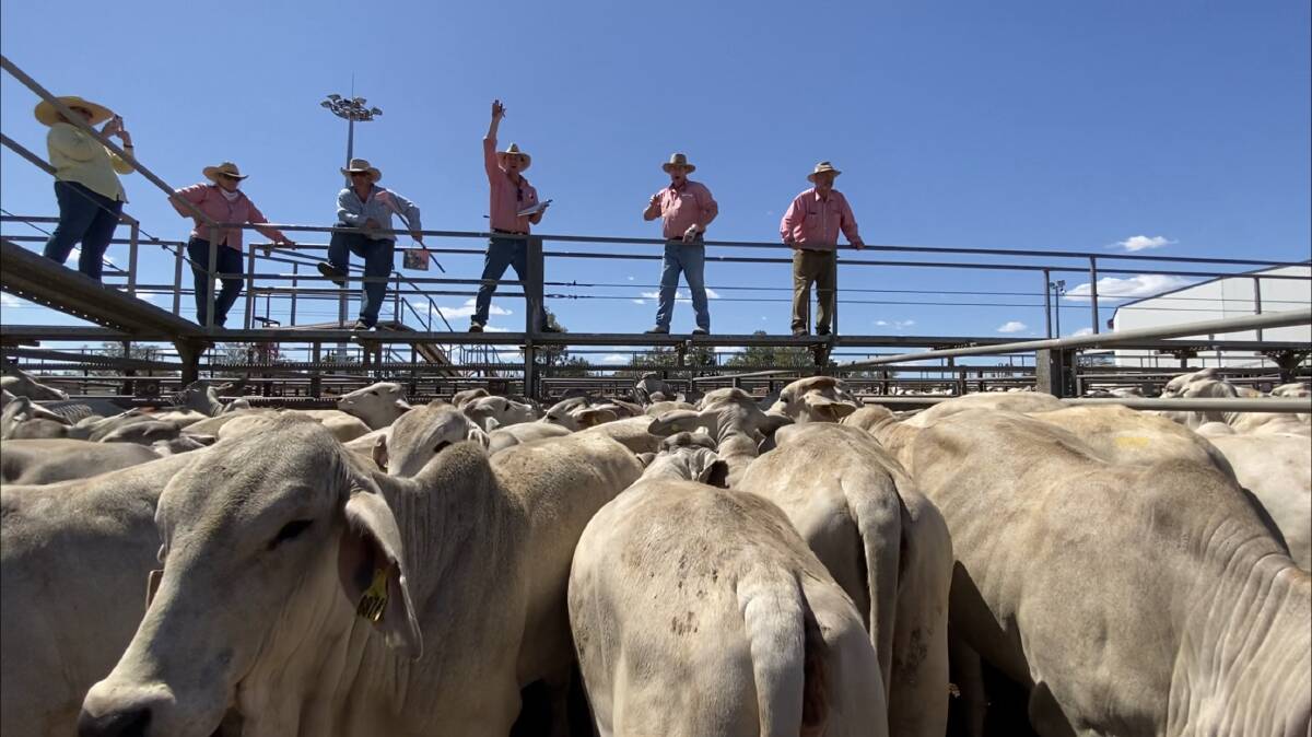 Beef learnings: The Meat & Livestock Australia will be running three BeefUp sessions in conjunction with the expo, one of the Friday and two on the Saturday.