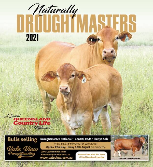 Click on the image above to read the 2021 Naturally Droughtmasters special publication in its entirety.