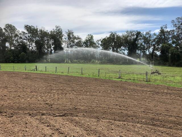 Alluvial creek flats on Oakbank and The Glen can be irrigated with an irrigation license at The Glen.