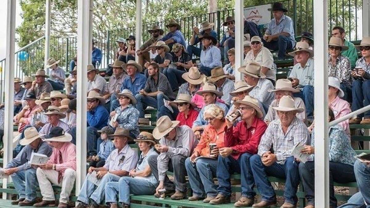 Great support: For three decades, many local and not-so-local cattlemen and women have made the journey to Clermont each year for the sale.