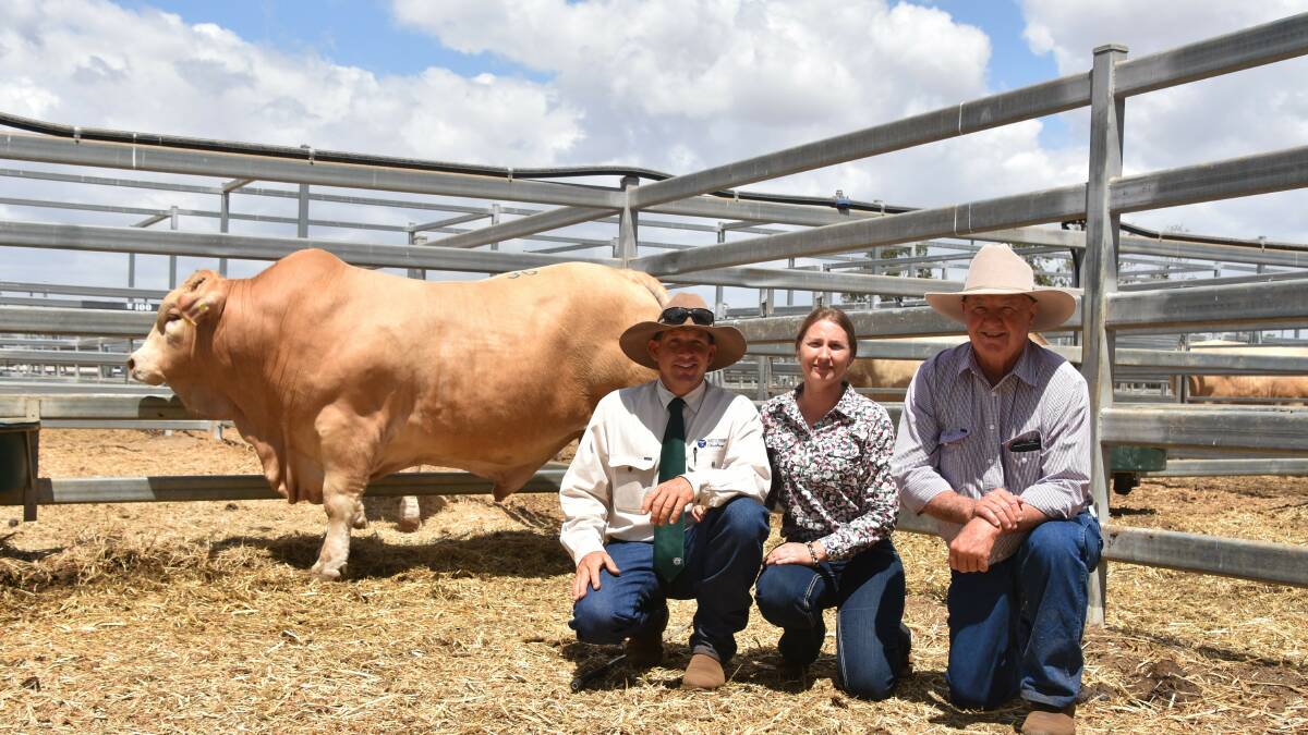 2019's $26,000 top price bull Wattlebray Navman with vendors Trevor and Lolita Ford and buyer Chas Nobbs.