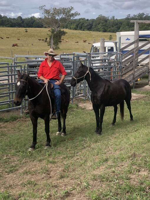 The focus: The paddock to plate operation combines a love of cattle, dogs and horses to produce a premium beef product for Brisbane consumers.