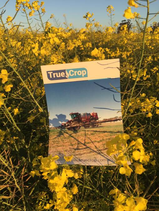 TrueCrop's network of freight carriers cover the Australian wheat belt. 