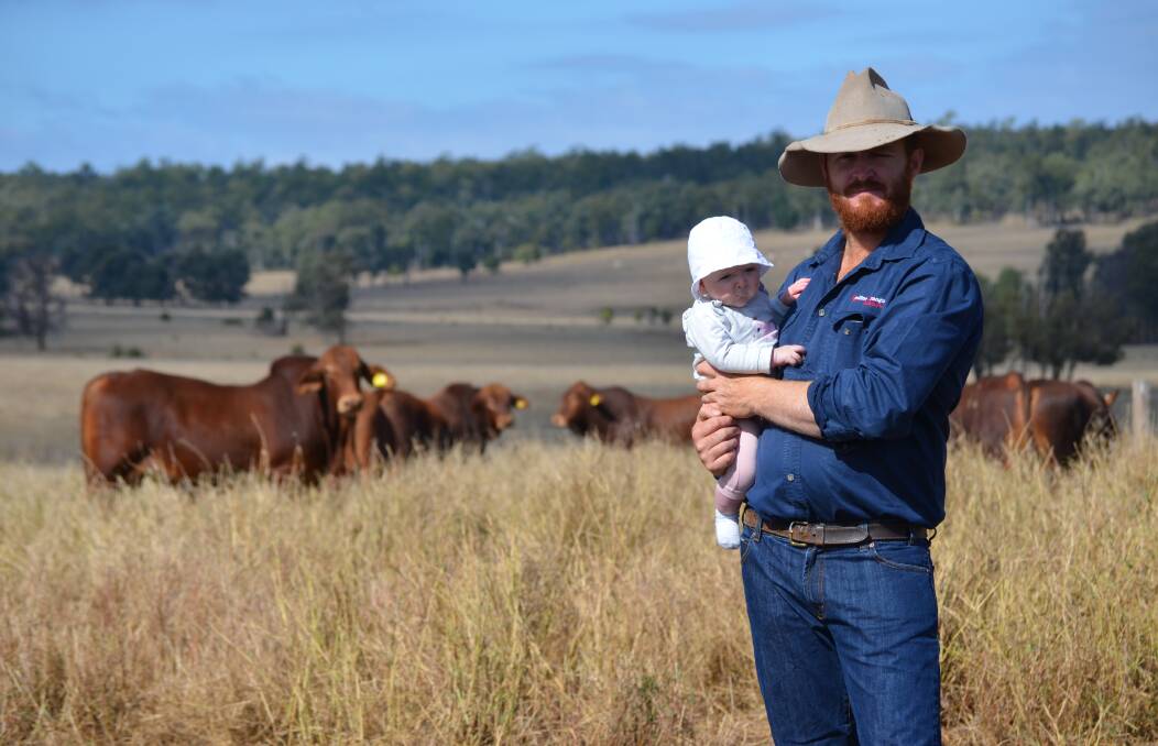 Kris Dingle and his daughter Blossom in the paddock with Redline Brangus's draft for the upcoming Classic Red Brangus Sale.