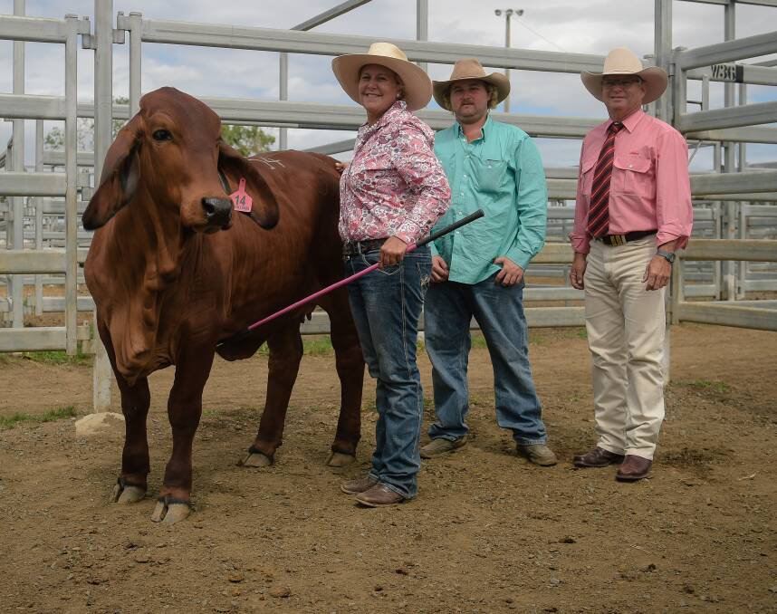 Pride of Palmvale: Beth Streeter, Dillon Scott and Elders' Robert Murray stand with the $10,500 top priced heifer of the 2018 Rocky All-Stars Elite Brahman Female Sale, Palmvale Regal Lady 3635 (H). 
