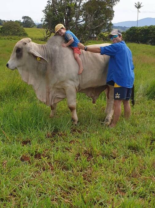 Gentle: Luke Quartermaine on Watson River Station with his son Ty. Temperament is the number one priority for the family when making their bull buying decisions.