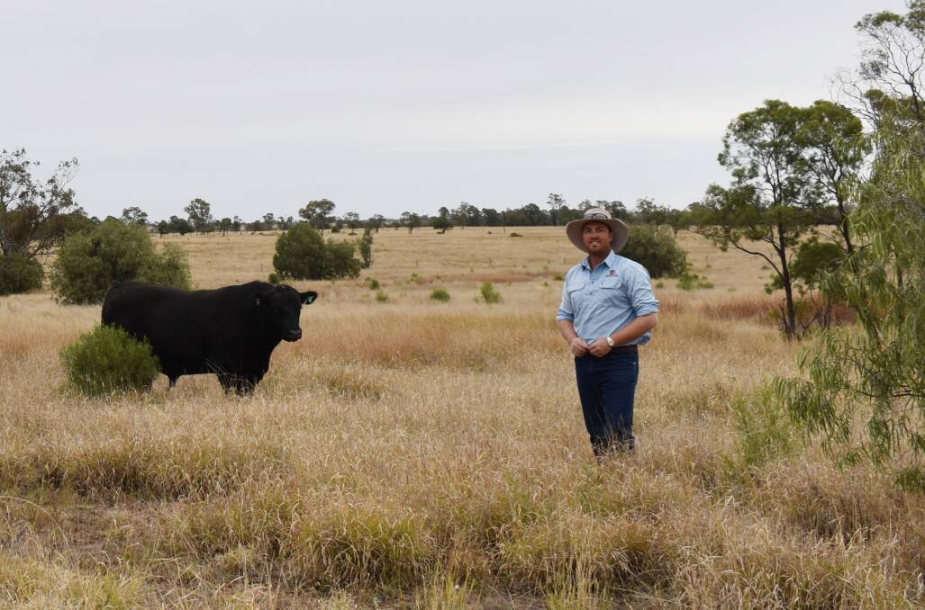 Opening avenues: Barclay Bassett said the family's decision to form a pure Angus herd was backed by their confidence in the breeds' popularity across a broad spectrum of markets.