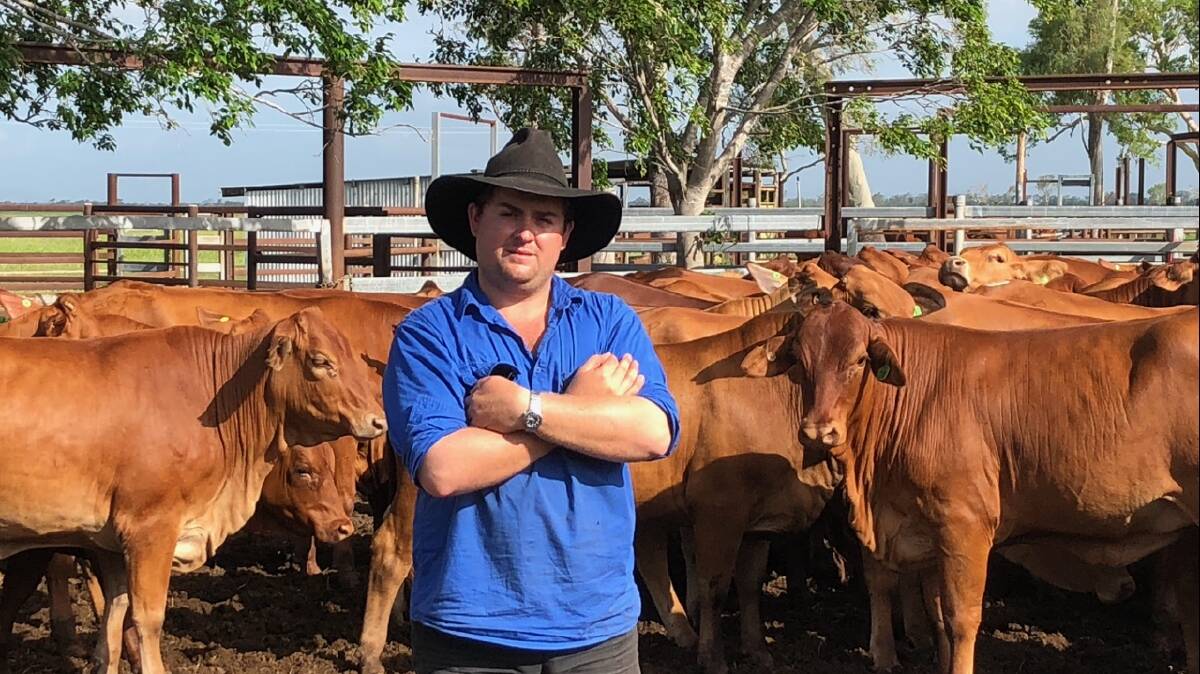 Robert Rea Jnr said he’s looking forward to growing his own cattle business as an adjunct to Lisgar and to be able to continue the family heritage of Droughtmaster production on the property.