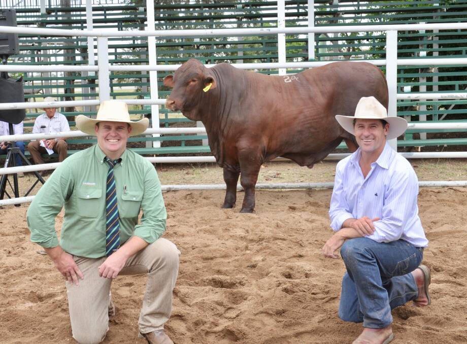 Looking back: 2017 sale topper Yarrawonga M580 sold for $20,000 over the phone to Bill Speed, Brigadoon, Taroom. He's pictured with Landmark's Trent McKinlay and Yarrawonga's Andrew Bassingthwaighte, Wallumbilla.