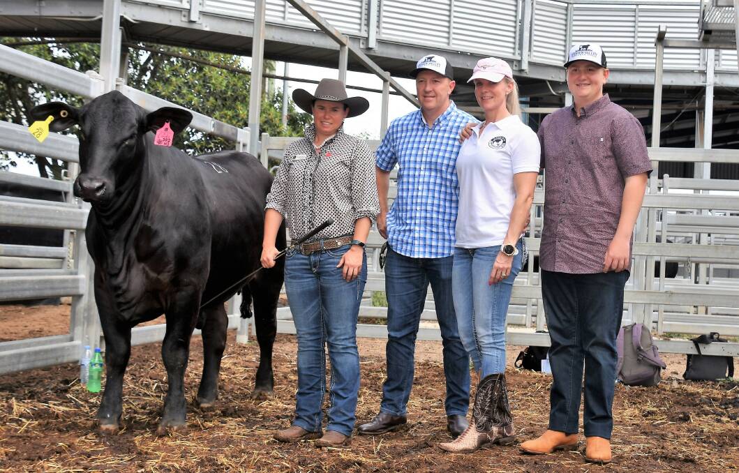 The $34,000 top priced female of the 2018 sale, Telpara Hills Miss Csonka 392N2, with Fiona Pearce and Peter, Roz and Matthew Alexander, Hidden Valley Speckle Park, Kyogle, NSW.