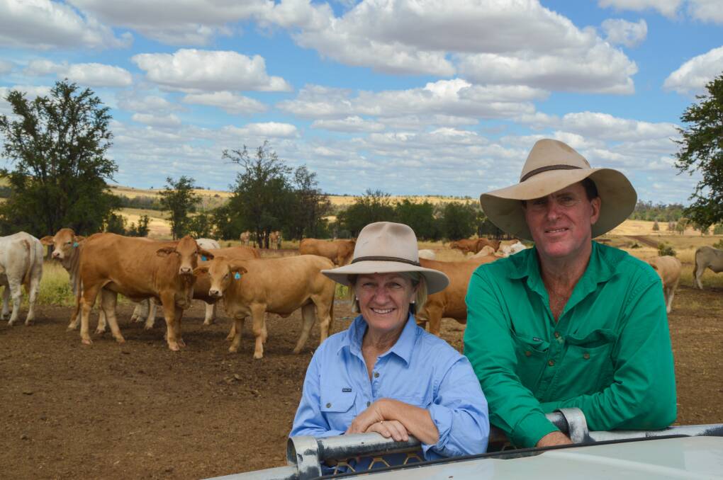 Consistent quality: Tanya and Randall Ziesemer, Beaumont Grazing Co, Taroom, said they're consistently producing a very fast growing, soft and easy doing animal through the use of generational-bred Charbray bulls.