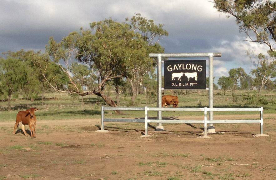 The 4047ha Gaylong Station lies on black soil, semi-open mountain Coolibah country with the Peak Range running right through the middle of property.