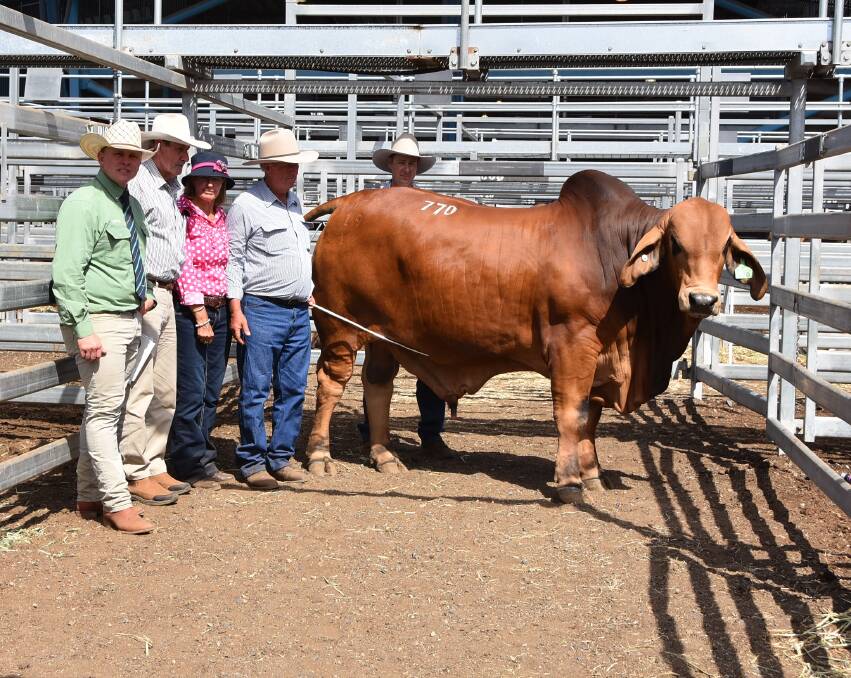 Regal red: Landmark agent Colby Ede, with buyer Brian Kirkwood, Somerview, Charters Towers, and vendors Manny, Noel and Scott Sorley, Mt Callan, Dalby, with the $105,000 top priced red bull of the 2019 sale, Mt Callan Scully 19/18 (AI) (P).