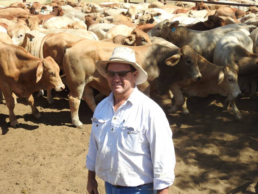 Direction: Charbray Australia Society president Matt Welsh said the current goal of the society is to ensure that Certified Charbray breeders continue to grow and evolve the genetics in their individual operations.