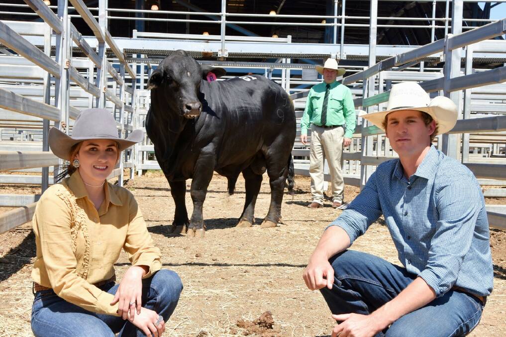 Tannyfoil P79 (P), topped the 2021 sale, selling for $52,500. He's pictured with with Nutrien's Mark Scholes, and vendors Keesha Whyte and Lucas McKenzie, Tannyfoil Brangus stud, Blackwater.