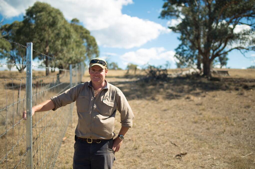 Instant improvement: Jack Glasson said since erecting his Clipex exclusion fence around paddocks, lambing rates to ewes have improved by close to 23 per cent.