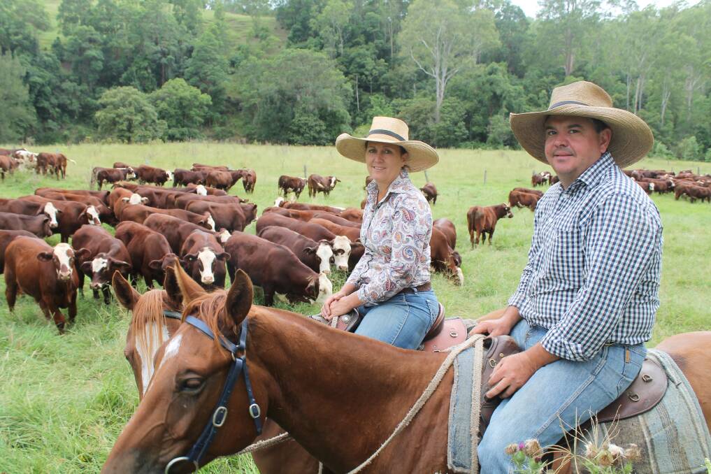 Top cross: Scott and Therese Humphreys on Welbatch, 30km west of Casino, NSW, with a selection of their Santa Gertrudis x Hereford cross cattle. The family has successfully been using the Santa Gertrudis for close to 25 years.