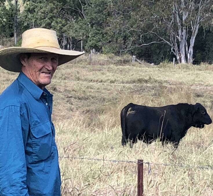 Solid progeny: Chris Franklin is seeing good growth rates and weight gains in his Angus calves.