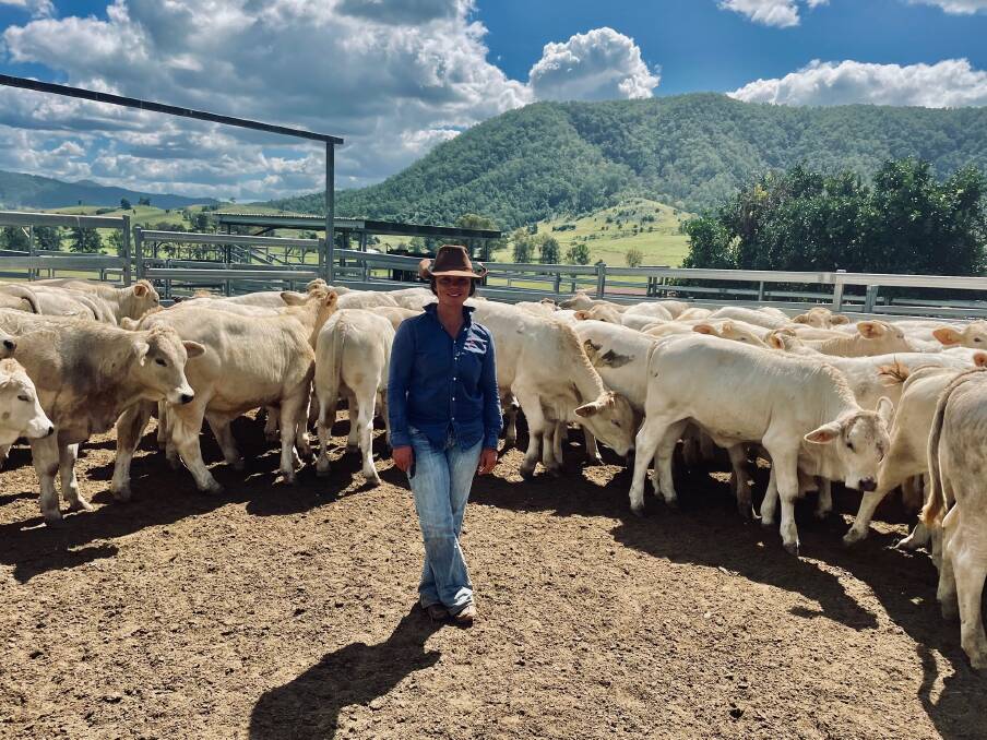 Selling well: Maree Duncombe with a selection of her first-cross Charbray heifers and steers that were sold through AuctionsPlus in April this year for $1600 per head.