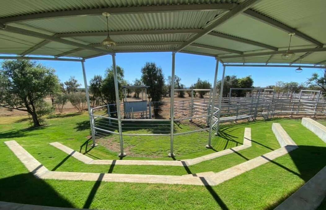 Ready for Rolleston: A draft of 75 quality bulls have been selected for the inaugural Carnarvon Classic Droughtmaster sale to be held at the recently completed Rolleston stud selling complex, on Tuesday, September 21.