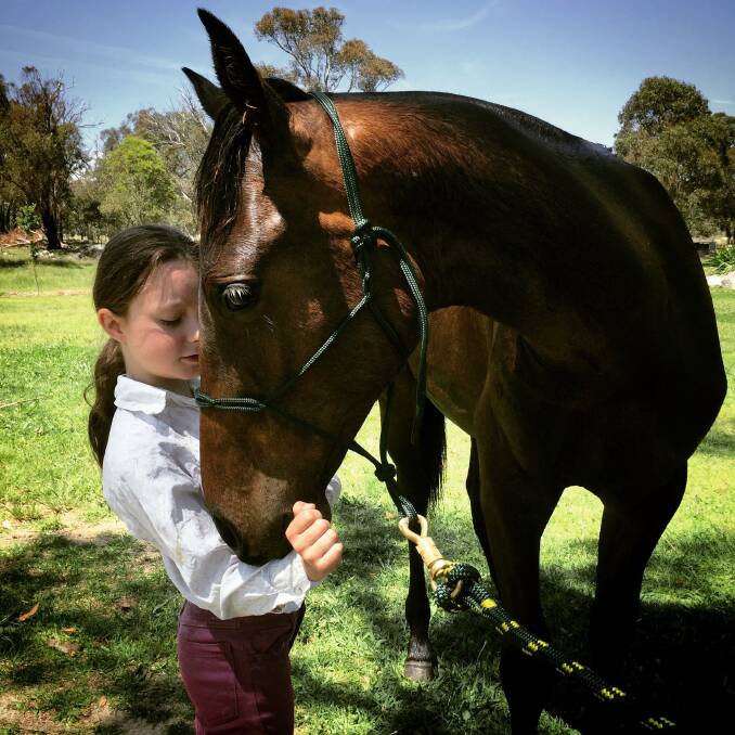 Great cause: Piper Griffiths with colt Stannum Tribute, who'll be offered in Lot 51 during the Dalby ASH Sale with all proceeds going to the LifeFlight Foundation.
