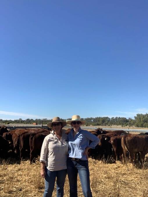 Robyn White with her granddaughter Heidi, and the heifer portion of the Whites weaners, which are currently being weaned and will be joined, on their second joining, to Palgrove Charolais bulls.