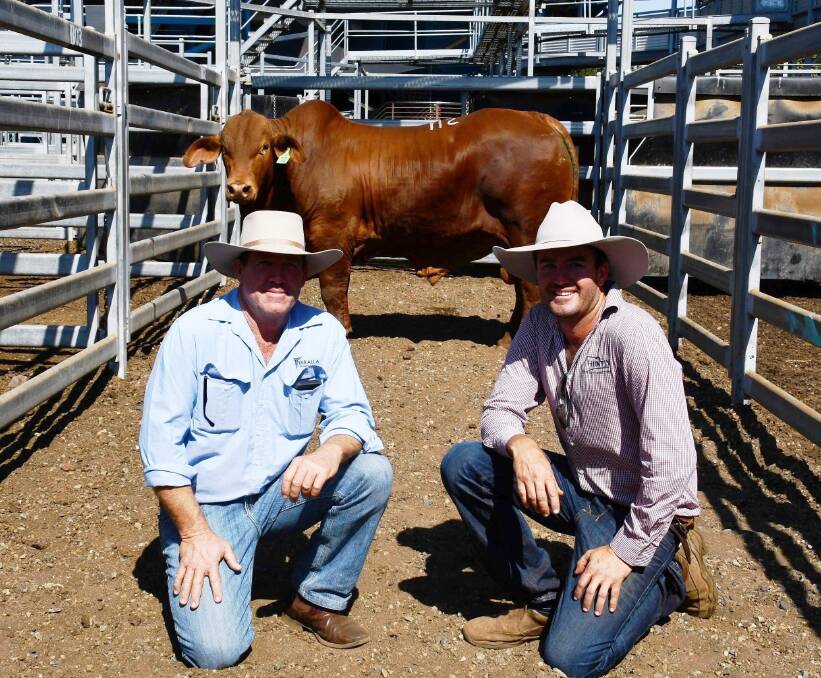 Buyer Ken McKenzie and vendor Sam Barton with the 2019 sale's $60,000 second top priced bull Huntly Title (P).