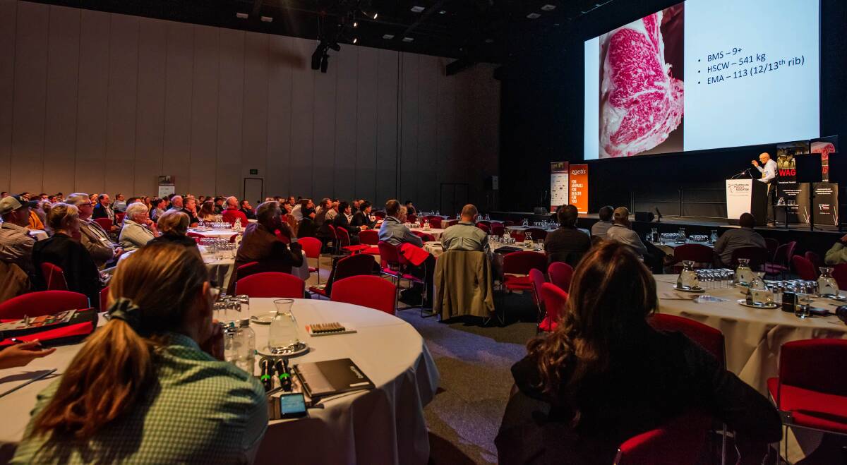 Hub: WagyuEdge is designed as a place to share knowledge and update the industry with new information on aspects of Wagyu genetics and production, in addition to market trends and industry directions.