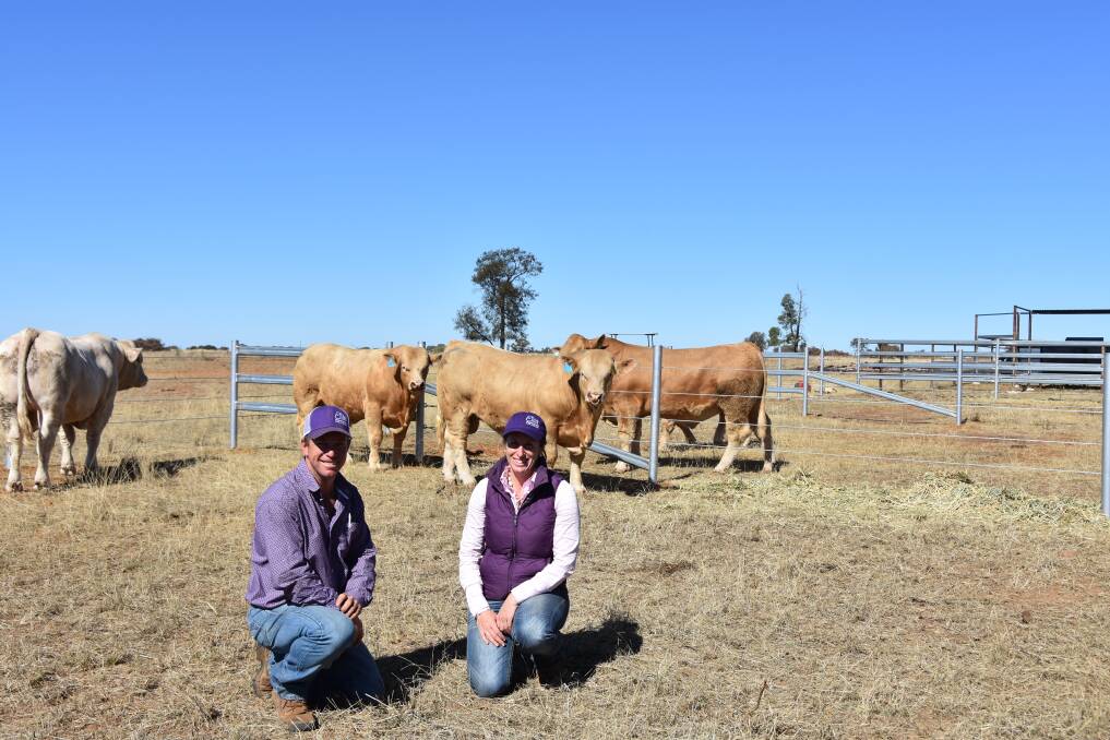Showcase: Elite Cattle Company's Glen Waldron and Kim Groner with Charolais bulls they had on display at their 2018 open day at Murwollock near Meandarra.