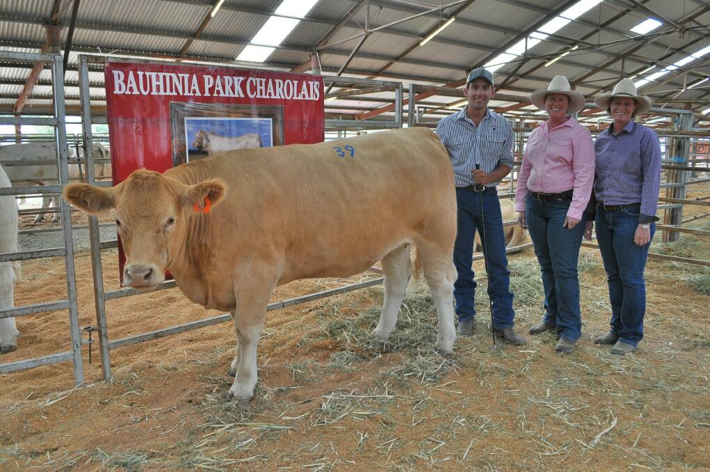 Tops in 2019: Ryan Holzwart, Bauhinia Park Charolais, with buyers Tania and Nicole Hartwig, Tanic Charolais, who paid $6500 for Bauhinia Park Fancy (P) (R/F) last year.