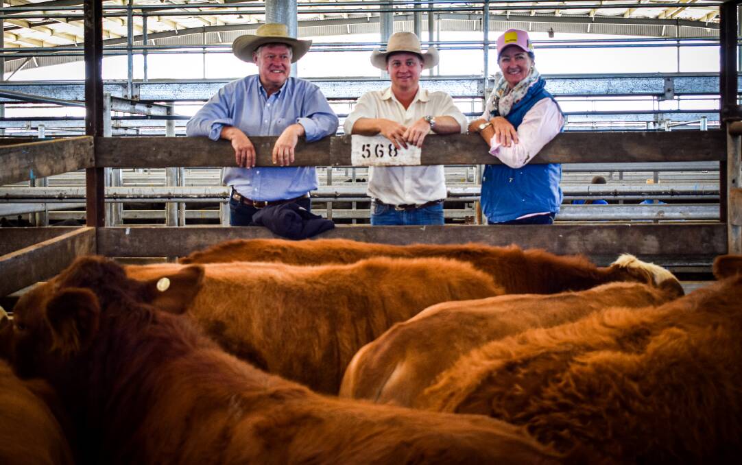Recognition: Ross Graham, Ray White Dalby principal David Felsch and Kathy Moloney with the winning pen of weaner Simmental steers at the Ray White yearling and weaner show and sale in Dalby earlier this year.