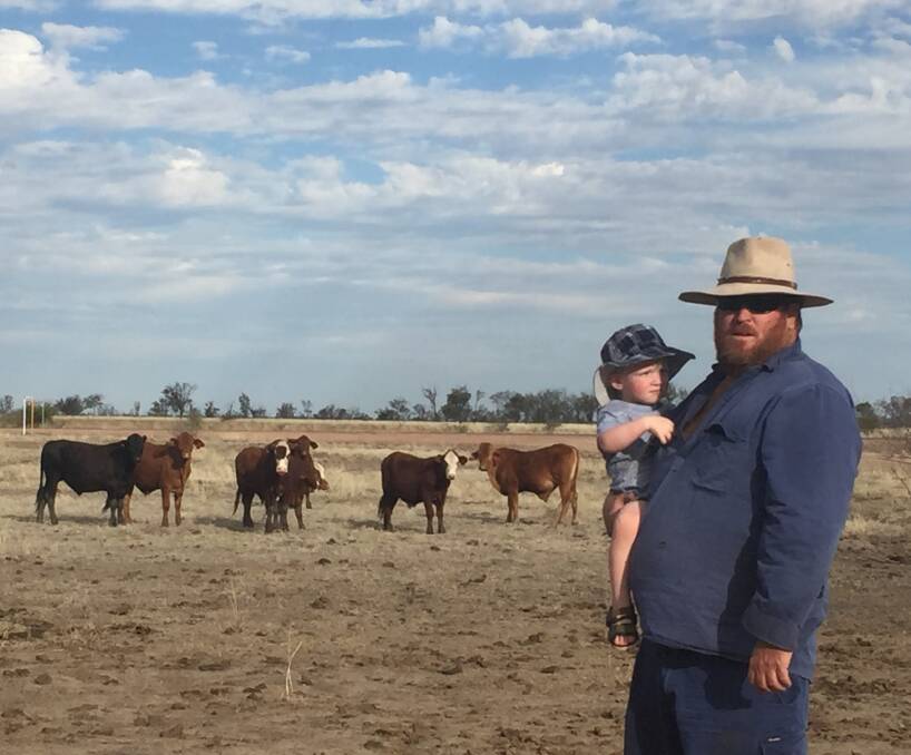 Top stock: Jason Glover with his grandson Henry and a selection of the crossbred Red Brangus steers which are sold through AuctionsPlus to producers across Australia.
