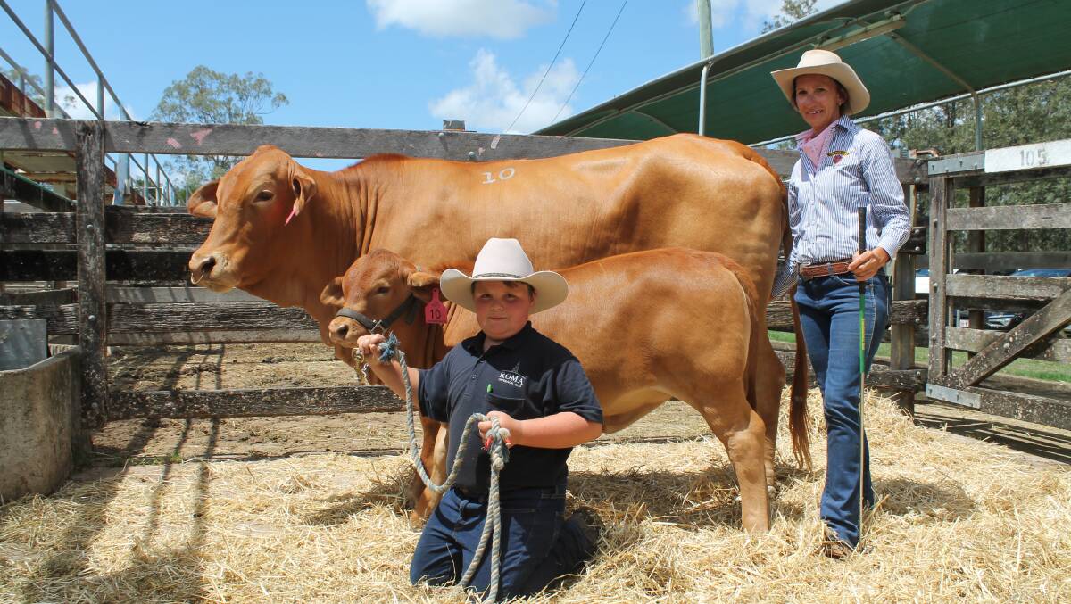 Celestino Pozzebon, Conclare Droughtmasters, Thulimbah, bid the $6750 top cow and calf money for Oakmore Queenie and her heifer calf from Sharon Harms at the 2019 sale.