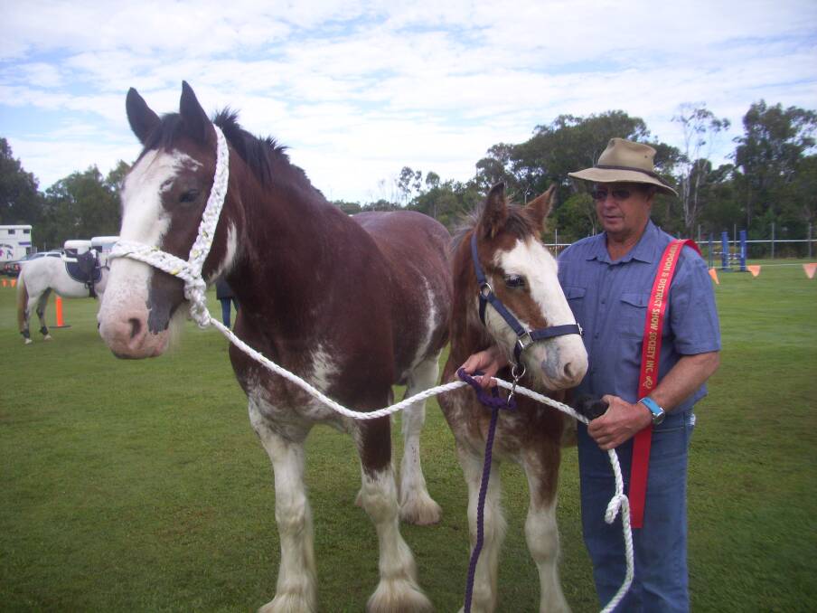 On show: Clydesdale mare Katherine and her filly shown by Robert Pearson, won second place in the led-in class at the 2017 show.