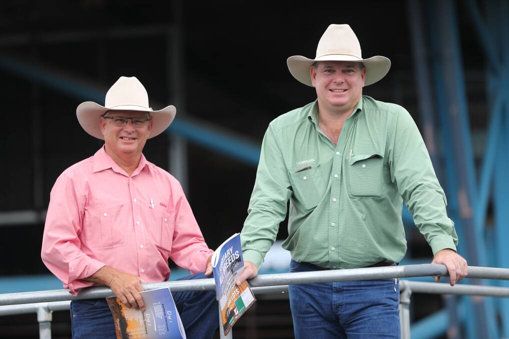 Vast and varied: Robert Murray, Elders and Mark Scholes, Landmark have assembled an offering of 466 lots from 13 breeds for the 2020 sale. Photo: Kent Ward.