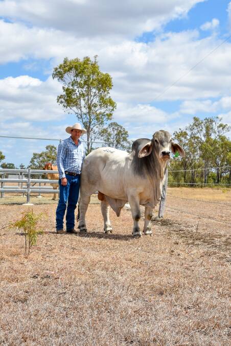 Great Grey: Kelvin Harriman, GI Brahmans, Muttaburra, with Clukan Axel 333/7 (AI) (ET) (P) who he bought from Steve and Theresa Taylor, Clukan Brahmans, Jambin, for a sale topping $100,000 at the 2018 sale.