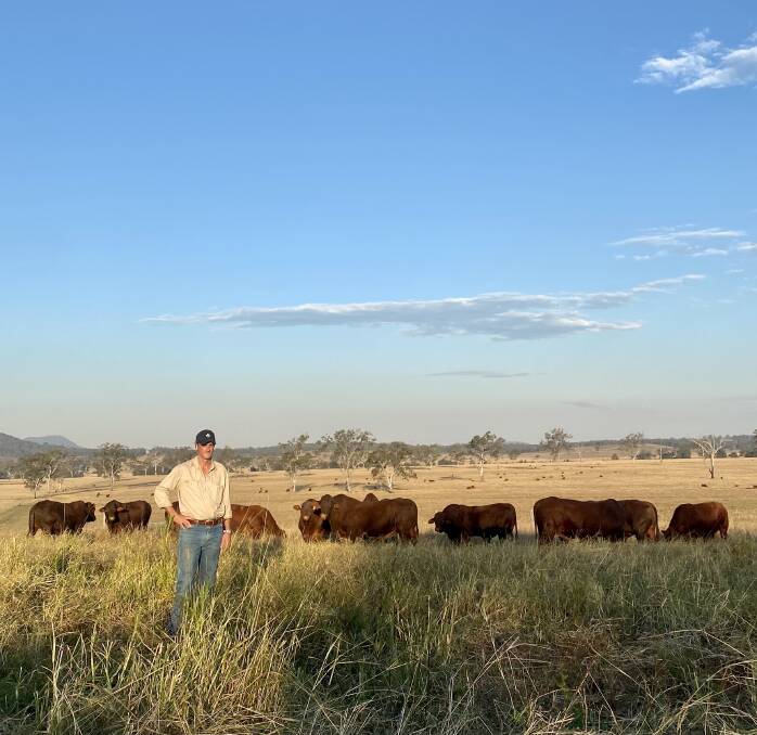 Reliable: Michael Williams on Cardross, Mt Mort, Qld, with Santa Gertrudis, which he considers to be low fuss, reliable cattle with good weight for age, that present well. 