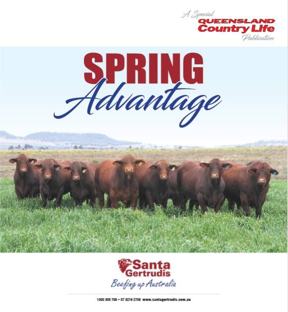 Click on the image above to read the Spring Advantage special publication in its entirety.