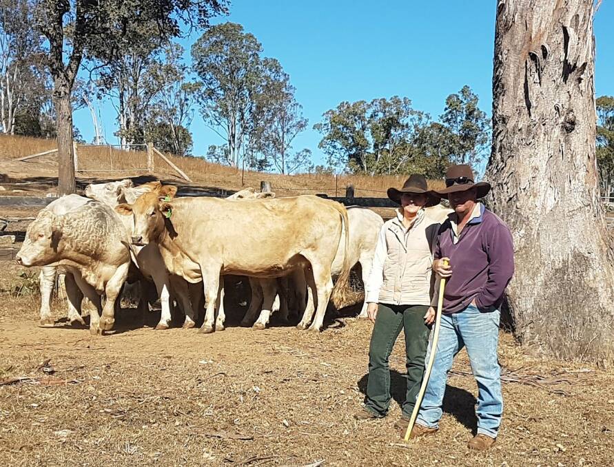 Aim: Wade and Megan Stretton on Teelah, north of Blackbutt. The Strettons join Charolais bulls with their composite breeding herd and target the Toogoolawah and Coolabunia weaner sales with their progeny.
