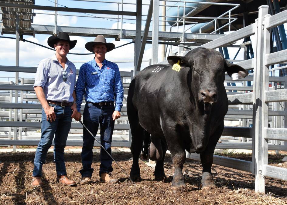 Mighty Magnum: Buyer, Fleetwood Grobler, Coonabarabran, NSW and vendor Stephen Pearce, Telpara Hills, Upper Baron, Qld, with the $34,000 top price bull of the 2018 sale, Telpara Hills Magnum 541M30.