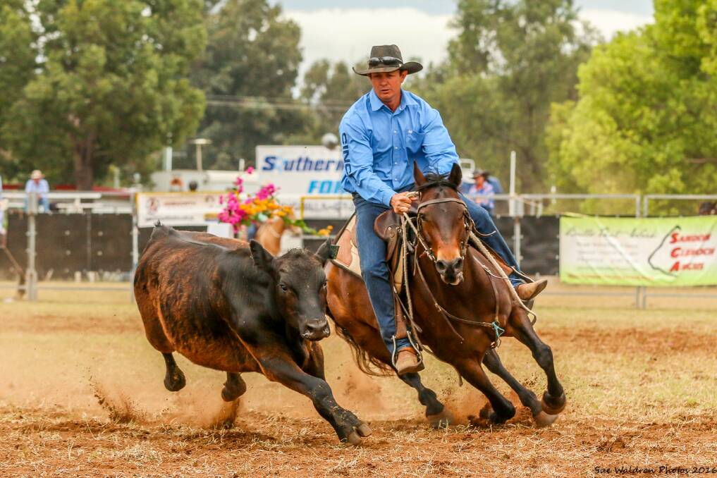 Ben Hall from Muttaburra, Qld, took the honours in the Knudsen Family Restricted Open Draft at Chinchilla last year on Eltorrio. Image courtesy of Sue Waldron Photos.