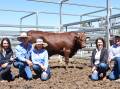 Tops in '21: Georgie Connor, GDL, vendors Robert and Jane Sherry, and buyers Trudy and Lachlan Mace, Stanage Bay, with the 2021 sales' top price bull, RJS200047.