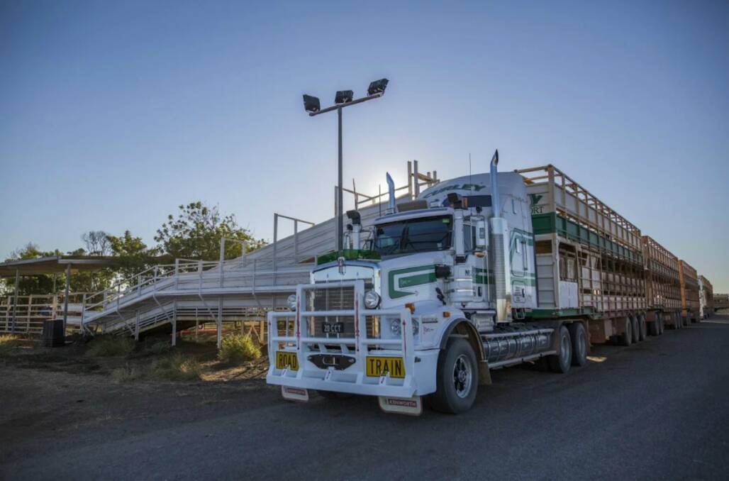 Strategic: Cattle in transit can be fed, dipped, watered and rested at the saleyards on their way south or east for fattening or processing, or north for live export.