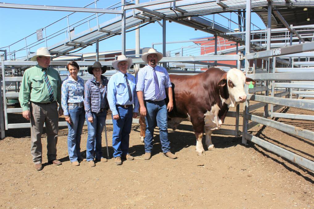 Mark Scholes, Landmark. Donna, Bec and Russell Kenny, Harriett Valley Gayndah, and Cameron Bennett, Little Valley Grazing Company, Stratheden, NSW with the 2019 $40,000 top priced bull, Little Valley Richard 2976 (P).