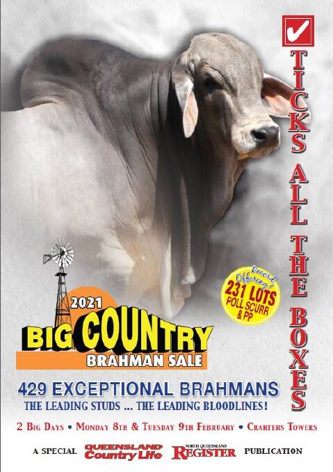 Click on the image above to read the 2021 Big Country Brahman Sale special publication in its entirety.