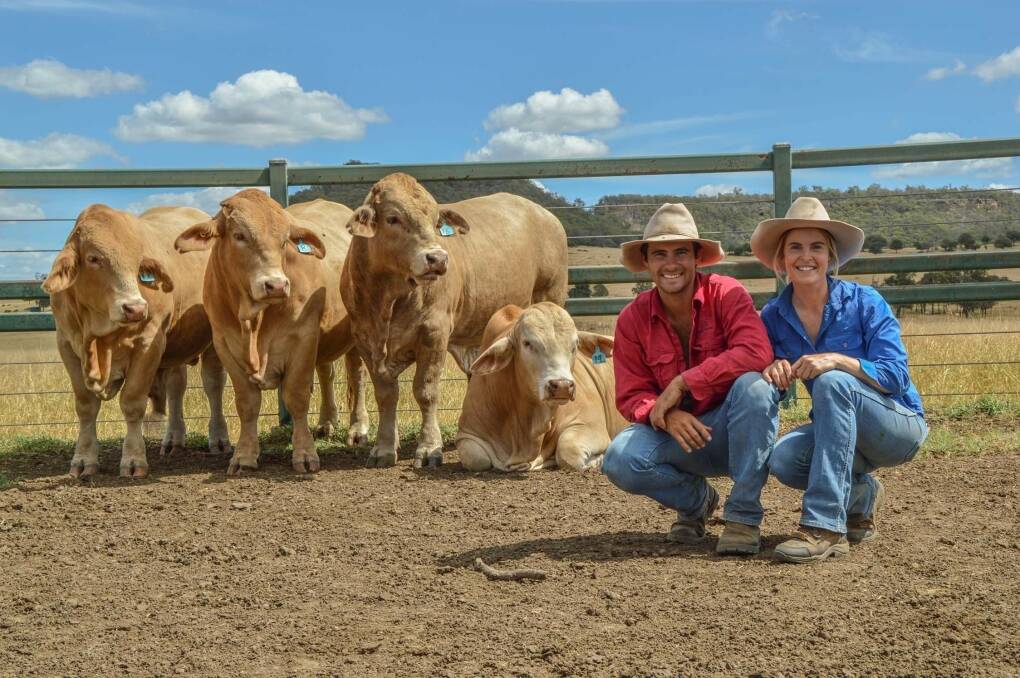 Championing Charbrays: Randall and Tanya Ziesemer's daughter Lucy and her fiance Bryce Moore's obsession with the Charbray breed has led to them establishing a stud operation, Trifecta Charbrays. Trifecta bulls will be offered for the first time at the National Charbray Bull and Female Sale in September at Gracemere.