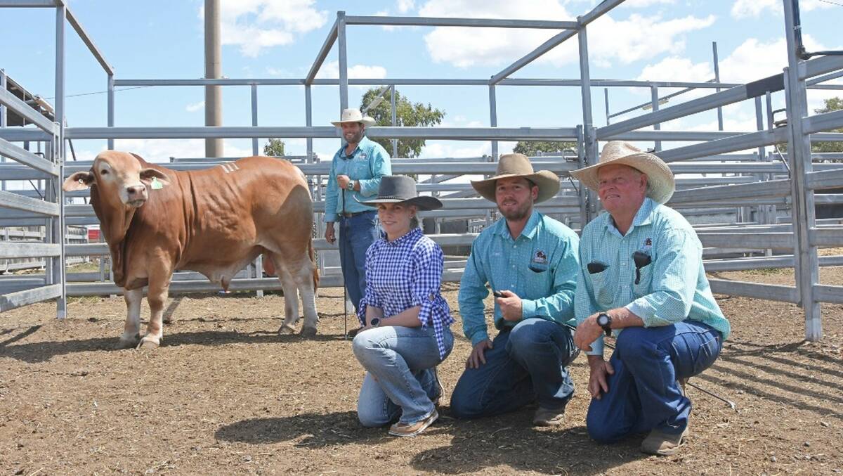 Top shelf: Luke Carrington, Lakisha and Zach Muntelwit, and Peter Carrington with the top-selling $160,000 bull of the 2020 sale, Rondel Whiskey (P), which was purchased by the High Country, Glenlands D and Nindethana studs.