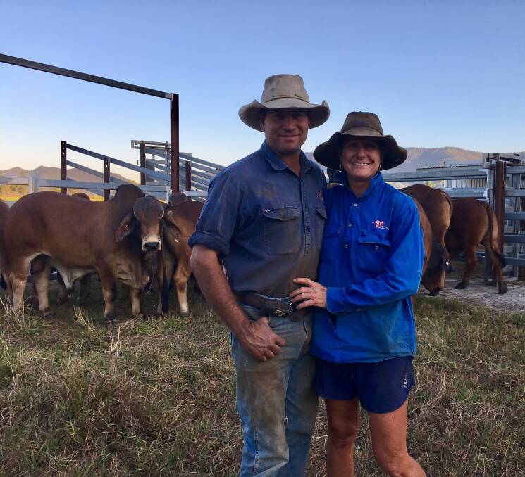 At home: Lach and Penny Thomson on Kallanda Station, west of Ingham, where they live with their children Will, Holly, Grace and Meg, and Lach's father Ross.